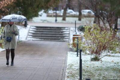 В Волгоградской области 8 декабря ожидаются дождь со снегом при +8