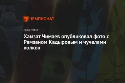 Хамзат Чимаев опубликовал фото с Рамзаном Кадыровым и чучелами волков