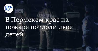 В Пермском крае на пожаре погибли двое детей