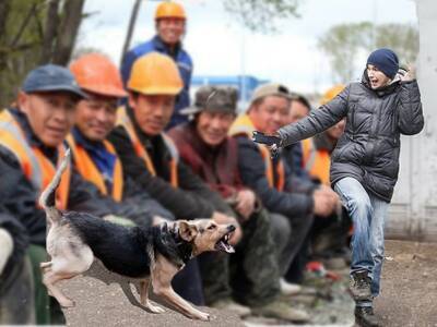 «Выставили за дверь, натравили собаку»: учителей из Оренбургской области заставили обходить дома мигрантов