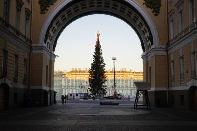 Главную новогоднюю ель города доставили на Дворцовую площадь