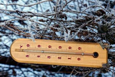 В Новгородской области ударят 24-градусные морозы