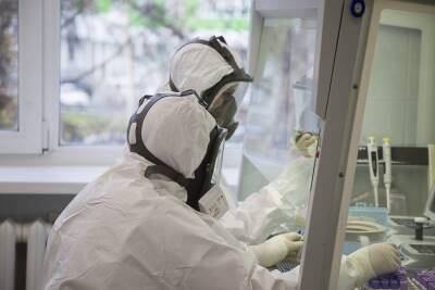 В новосибирский центр "Вектор" доставили штамм коронавируса "омикрон"