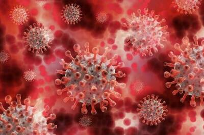 Назван необычный симптом нового штамма коронавируса «омикрон»