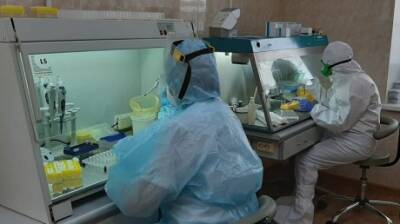 В Пензе появились тест-системы для выявления вируса гриппа и COVID