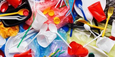 В России с 2023 года запретят одноразовую пластиковую посуду