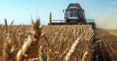 Тайвань открыл свой рынок зерна для Литовской Республики