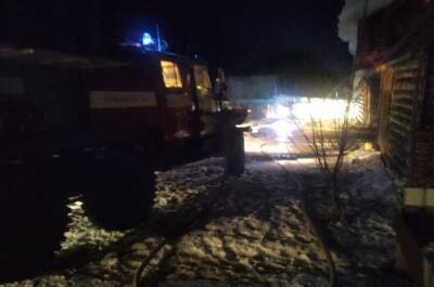 После пожара в частном доме под Пермью обнаружили тела двух мальчиков