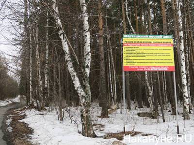 Бизнесмен назвал "копеечным" делом покупку земли у озера в Екатеринбурге с выводом из ООПТ