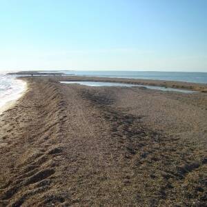 В Запорожской области вернули земли прибрежной защитной полосы Утлюкского лимана