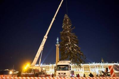 В Петербурге на Дворцовой площади установили новогоднюю елку