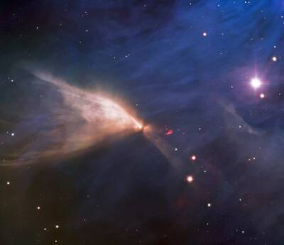 Телескоп Gemini South запечатлел туманность, похожую на крыло бабочки