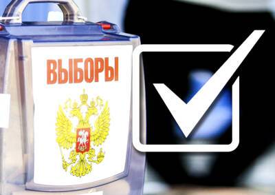 Электронное голосование дойдёт и до муниципалитетов: особенности выборов-2022