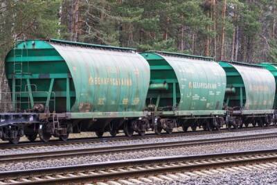 Санкции не помеха: Литва продолжит транзит белорусских калийных удобрений