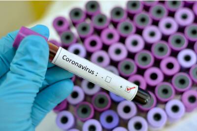 В Ленобласти 363 человека заболели коронавирусом за сутки