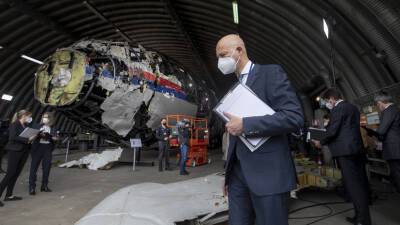 Хендрик Стинхейс - Суд в Гааге получил 301 иск о компенсациях от родственников жертв крушения рейса MH17 - russian.rt.com - Украина - Голландия - Куала-Лумпур - Амстердам - Гаага - Донецкая обл.