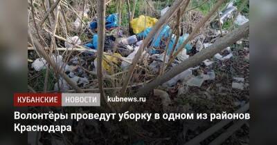 Волонтёры проведут уборку в одном из районов Краснодара