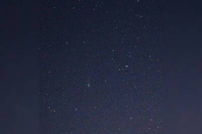 В небе над Ленобластью заметили новую комету «Леонард»