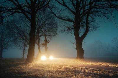 В Пензенской области 9 декабря объявлен желтый уровень опасности из-за тумана