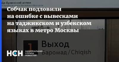 Собчак подловили на ошибке с вывесками на таджикском и узбекском языках в метро Москвы