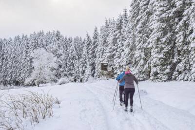 Отдохнуть на горнолыжных курортах Ленобласти будет не дешевле, чем в Сочи