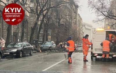 В Киеве из-за непогоды на авто падают деревья