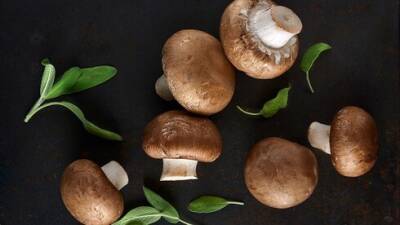 Готовим на Новый год: 5 вкусных и оригинальных рецептов с грибами