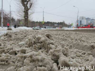 Депутат от ЛДПР попросил помощи у Минобороны в уборке снега в Петербурге