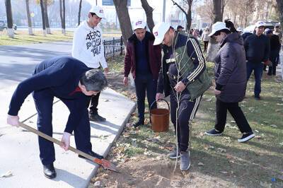 Активисты и депутаты Народно-демократической партии посадили деревья