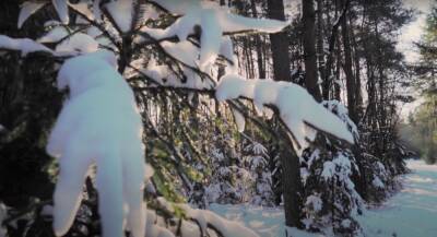 Гололед, мокрый снег и до +10: в Укргидрометцентре уточнили погоду по всей Украине на сегодня