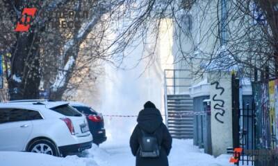 Власти Петербурга поблагодарили коммунальщиков за уборку снега без реагентов
