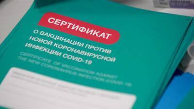 Путин поблагодарил Грецию за признание сертификатов вакцинации «Спутником V»
