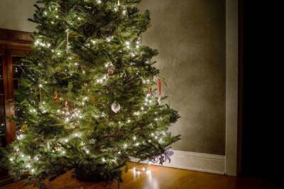 Скандинавский или американский: в каком стиле украсить новогоднюю елку в 2021 году