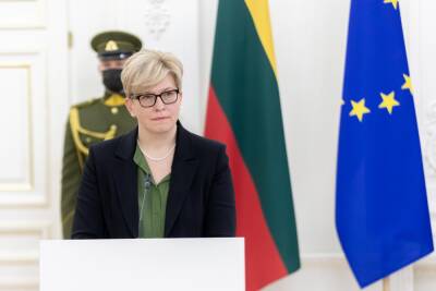 Премьер Литвы: уважаю мнение ЕК, но дискуссии по финансированию границы еще будут