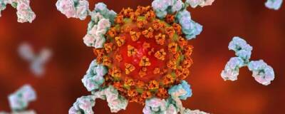 Вирусолог Кизек: антитела после ковид-вакцинации не защищают от омикрон-штамма