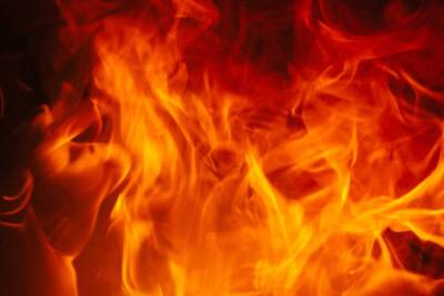 В Твери на территории школы загорелась хозпостройка