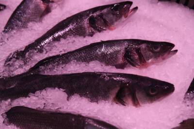 Употребление рыбы и морепродуктов защищает от заболеваний мозга