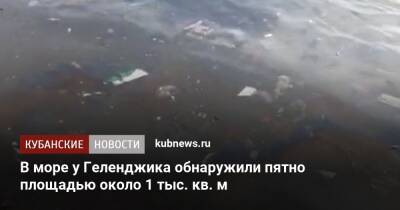 В море у Геленджика обнаружили пятно площадью около 1 тыс. кв. м - kubnews.ru - Краснодарский край - Геленджик - Геленджик - Черное Море - Экология