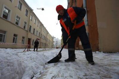 Петербургские школьники получают по 500 рублей за помощь в уборке снега