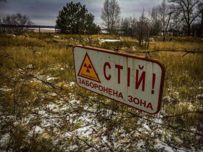 В Чернобыльской зоне засняли "шалости" редкого хищника (видео)