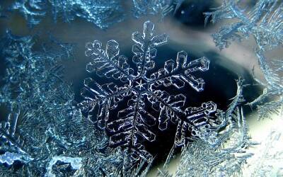 Идут дневные морозы: синоптики прогнозируют существенное похолодание на Луганщине