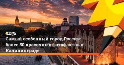 Самый особенный город России: более 50 красочных фотофактов о Калининграде