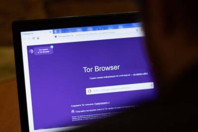 В Госдуме поддержали блокировку Tor в России