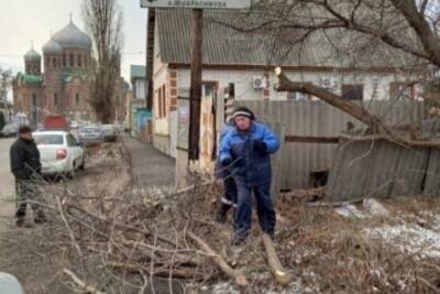 После жалоб жителей на одной из улиц наукограда провели опиловку деревьев