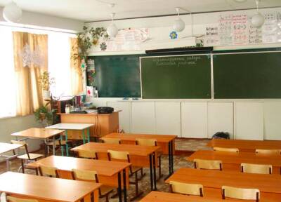 Следком проверит сообщения об издевательствах над школьницей в Новосибирской области