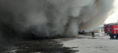 В огне 2000 квадратов: появилось видео горящего склада с продуктами под Новосибирском