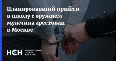 Планировавший прийти в школу с оружием мужчина арестован в Москве