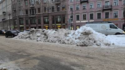 Спикер ЗакСа заявил о невозможности закупить необходимое количество техники для уборки снега в Петербурге