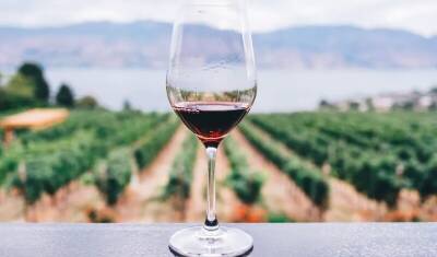 Виноделы предупредили о подорожании импортного вина до 20–25%
