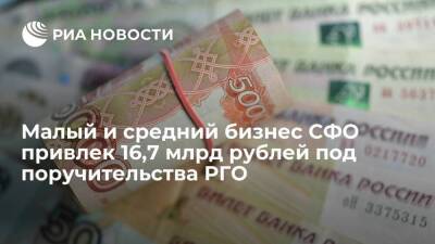 Малый и средний бизнес СФО привлек 16,7 млрд рублей под поручительства РГО
